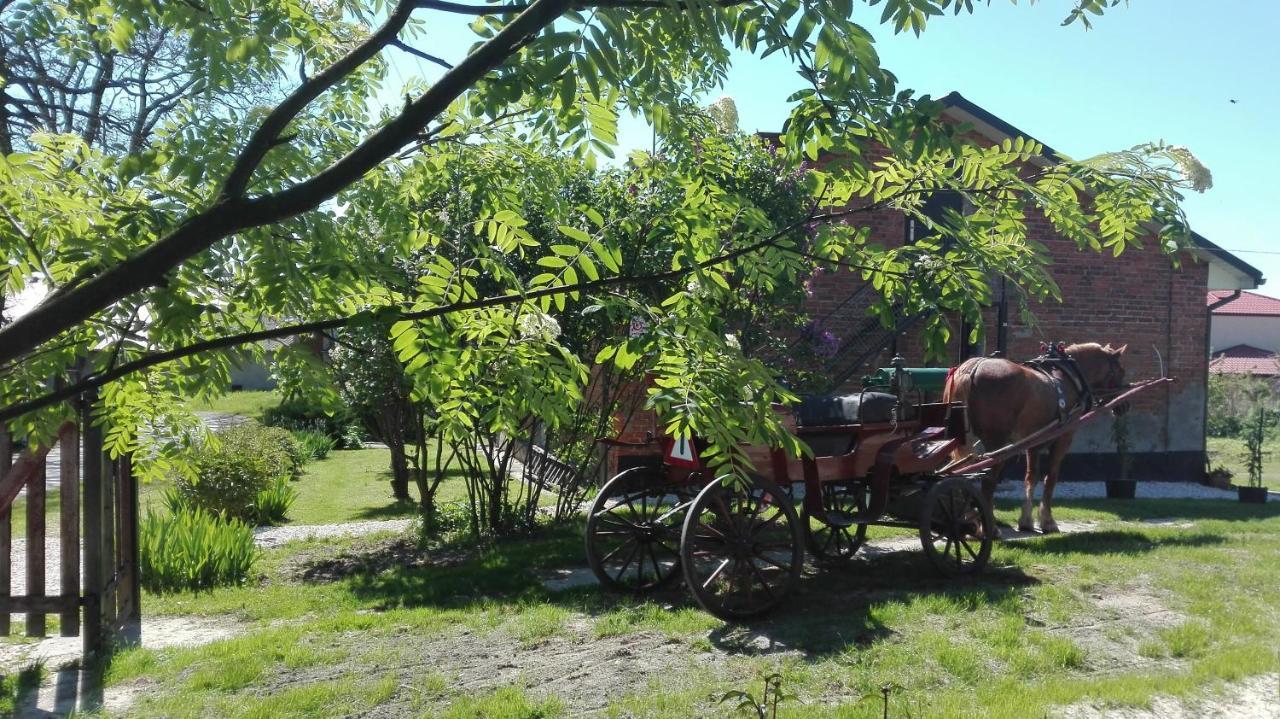 Swieże Poddasze u Przybyszów Andruszkowice Exterior foto